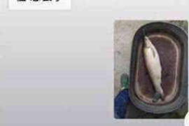 那些催收是违法的 那些催收是违法的