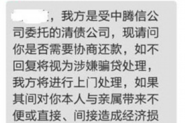 催收调取家庭资料：合法合规的债权保护之道