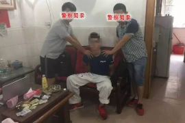 有没有告催收的?揭秘催收行为与法律维权 有没有告催收的?揭秘催收行为与法律维权