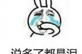 贵阳讨债公司收费标准揭秘：合理收费，高效追债