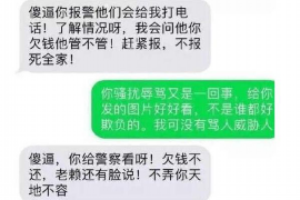 艾伦人间喜剧讨债:揭秘现代债务催收的艺术 艾伦人间喜剧讨债:揭秘现代债务催收的艺术