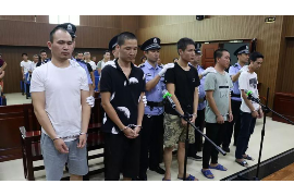 税务催收入库信息:了解税收催收流程及应对策略 税务催收入库信息:了解税收催收流程及应对策略