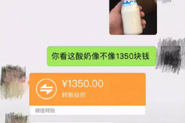 讨债就像是讨饭:揭秘债务回收的艰辛之路 讨债就像是讨饭:揭秘债务回收的艰辛之路
